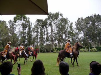Interpretacin consecutiva durante un show de caballos de paso peruano, Mamacona
